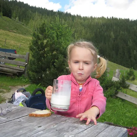 Appartement Feriennest Leitner Maria Alm am Steinernen Meer