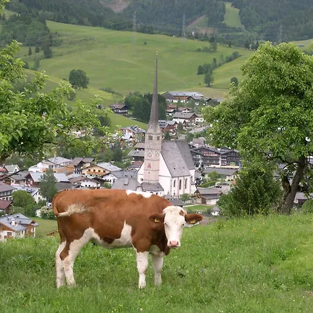 Feriennest Leitner Maria Alm am Steinernen Meer